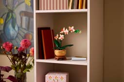 Miniorkidé Botanicals - Bild 3