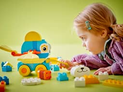 3-i-1 Djur på hjul Duplo - Bild 2