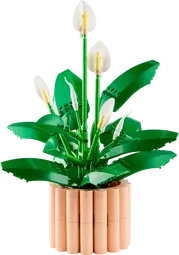 Fredslilja Botanicals - Bild 3