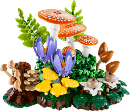Skogssvampar Botanicals - Bild 2
