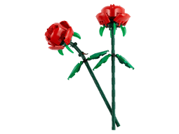 Rosor 2 st Botanicals - Bild 3