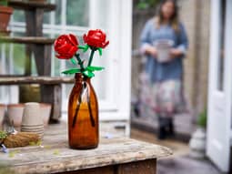 Alternative view of Rosor 2 st Botanicals