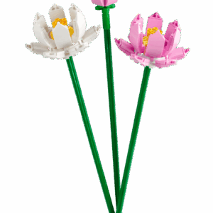 Alternative view of Lotusblommor Lego