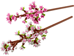 Alternative view of Körsbärsblommor Botanicals
